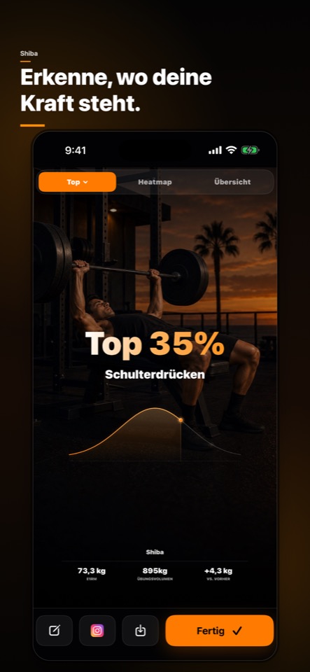 Dein Kraftniveau