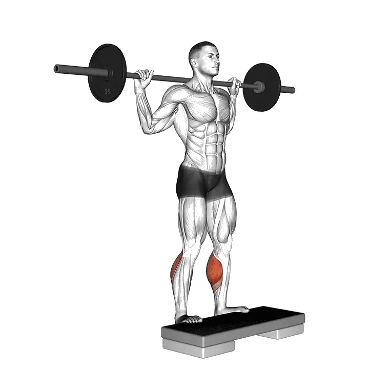 barbell-calf-raise