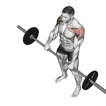 barbell-front-raise