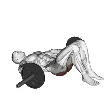 barbell-glute-bridge