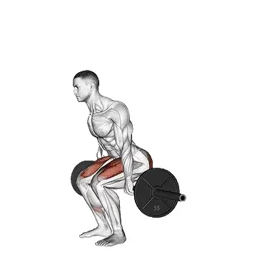 barbell-hack-squat