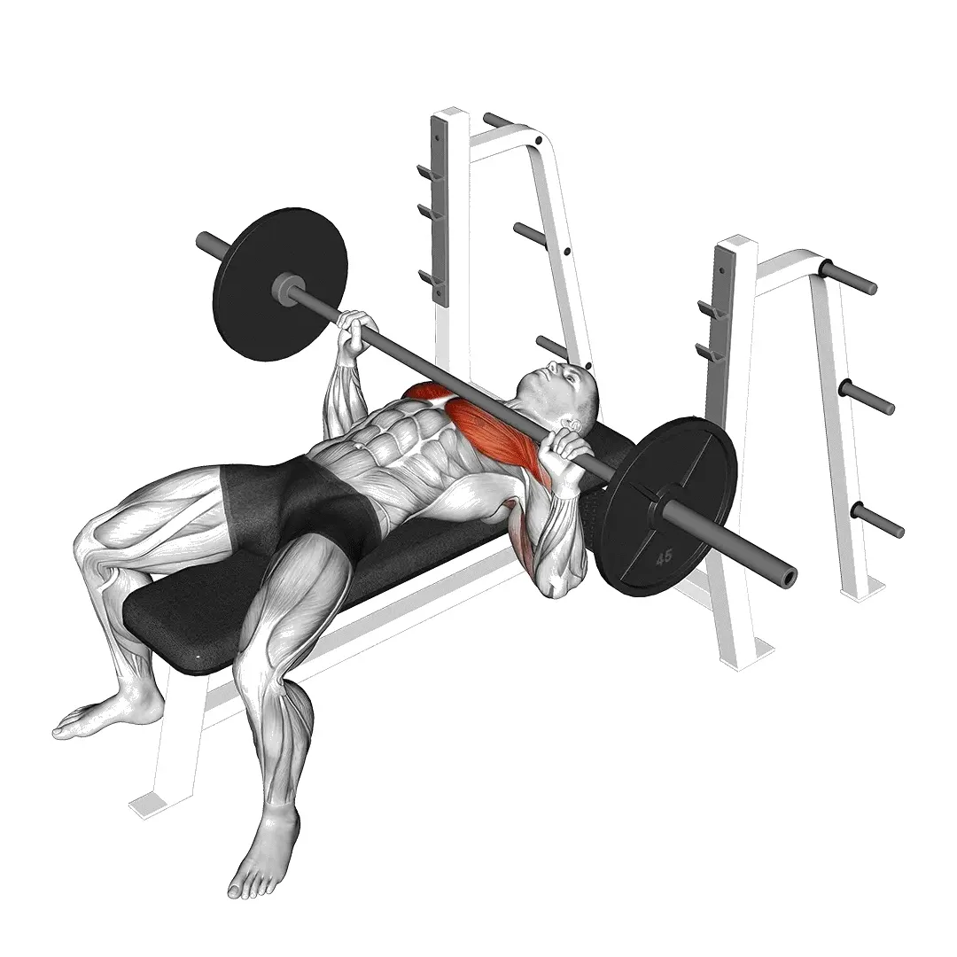 bench-press