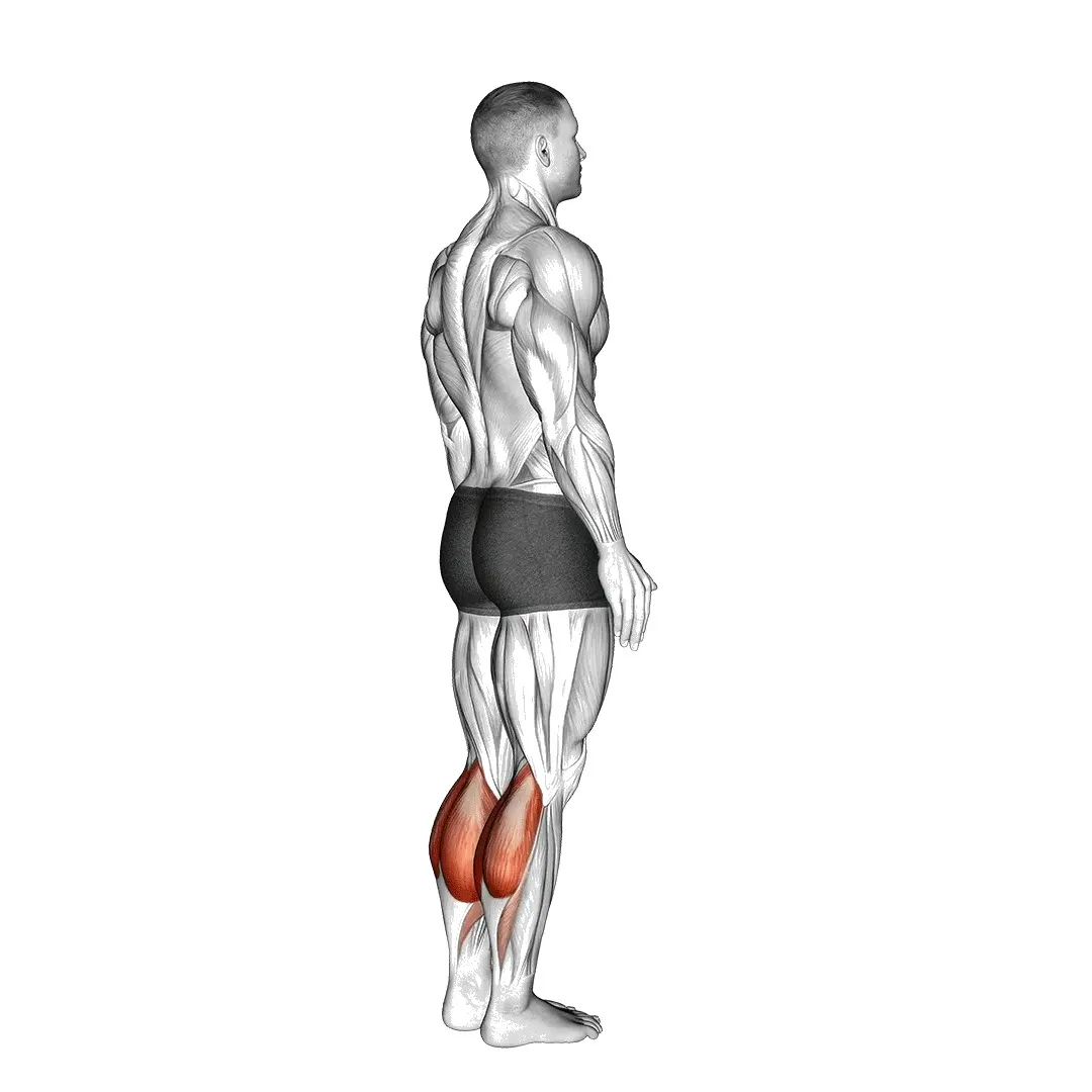 bodyweight-calf-raise