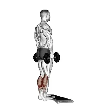 dumbbell-calf-raise