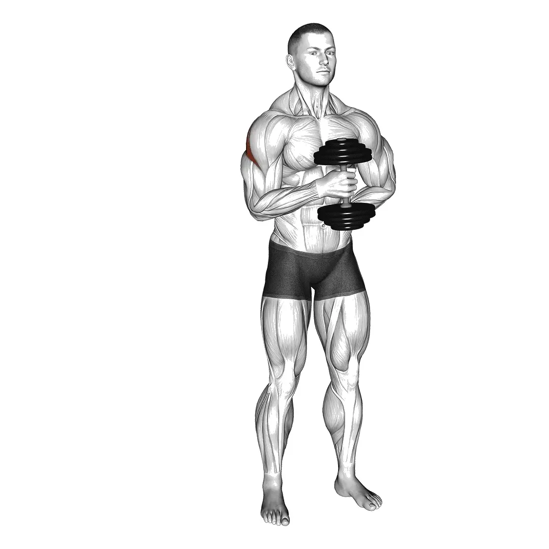 dumbbell-external-rotation