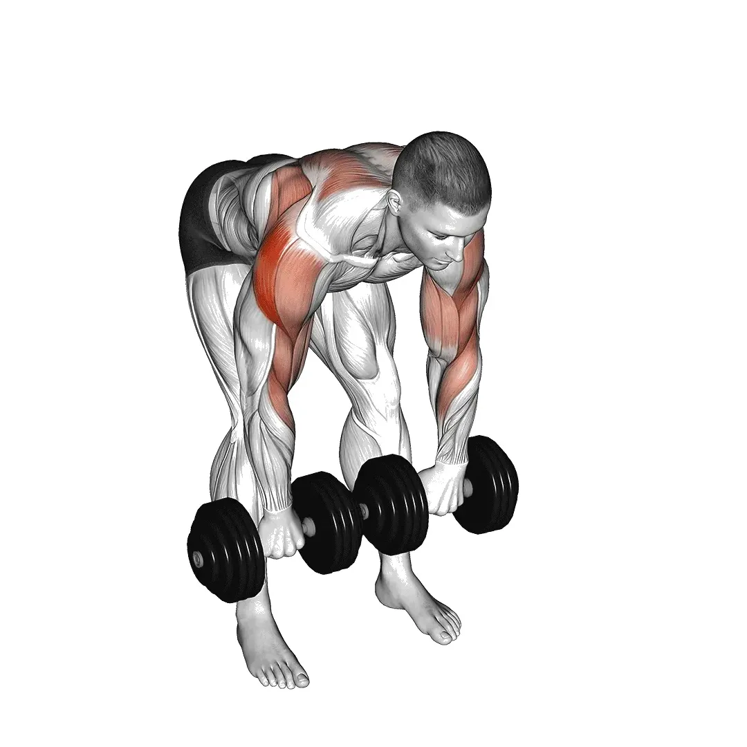 dumbbell-face-pull