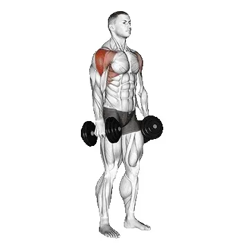 dumbbell-lateral-raise