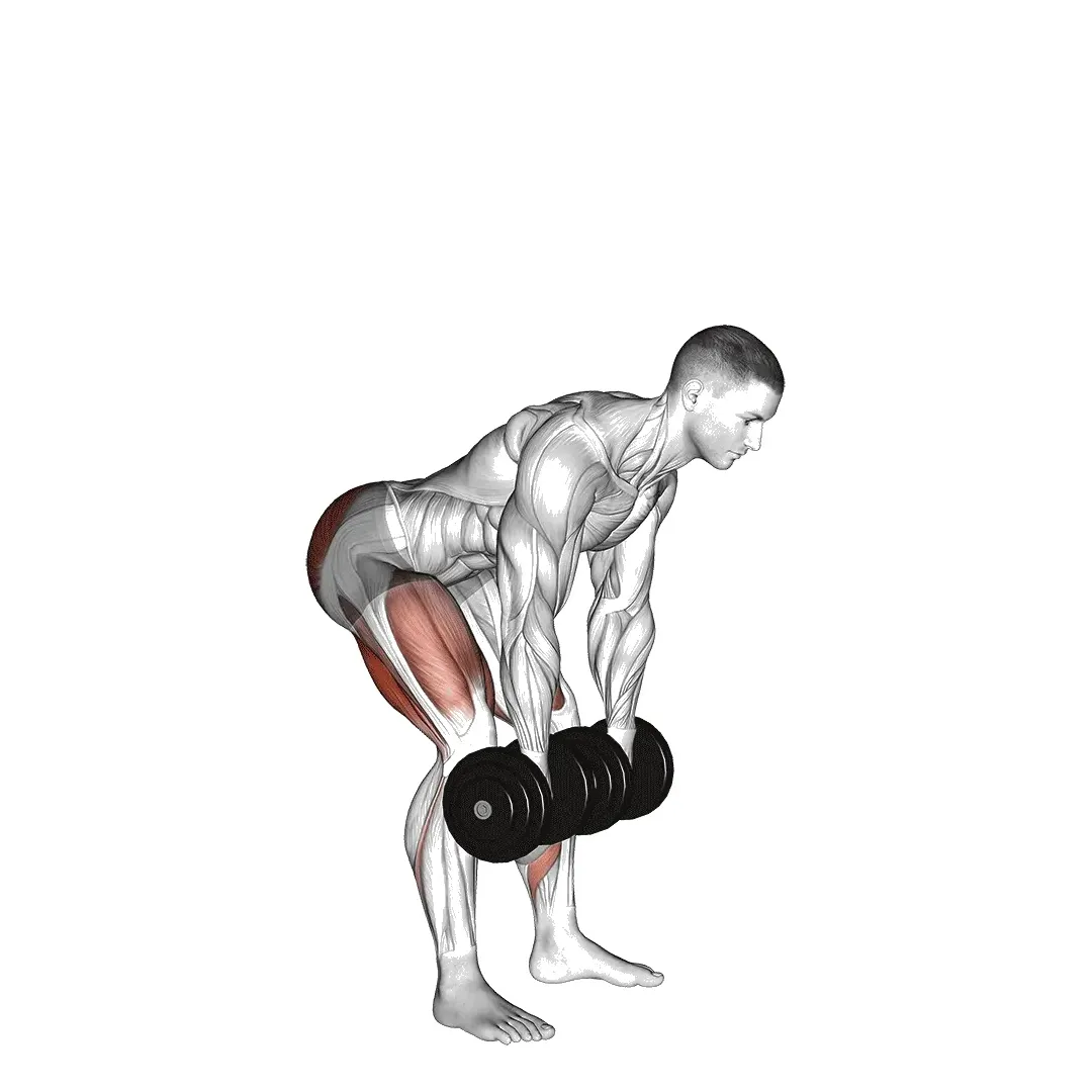 dumbbell-romanian-deadlift