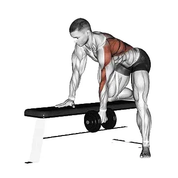 dumbbell-row