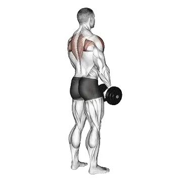 dumbbell-upright-row