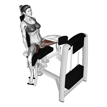 hip-adduction