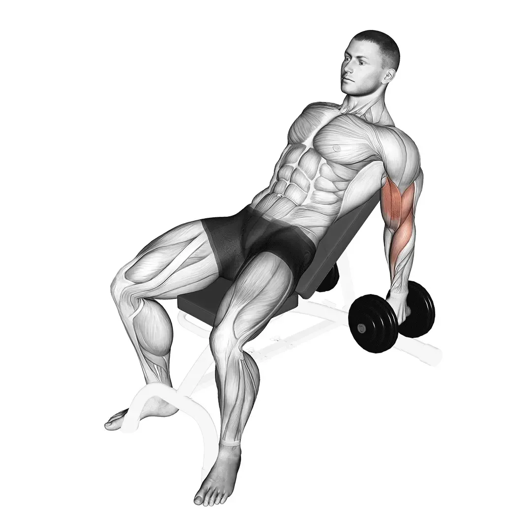 incline-hammer-curl