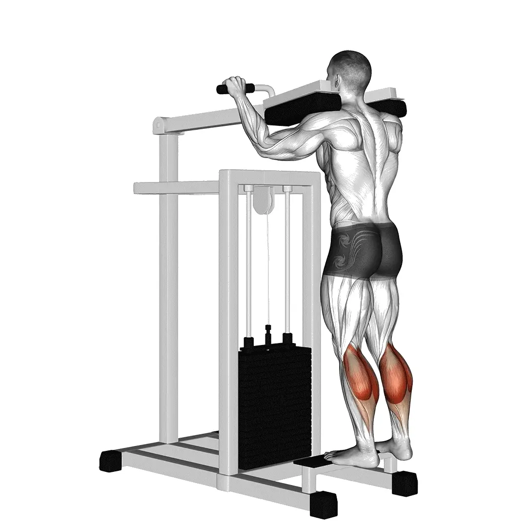 machine-calf-raise