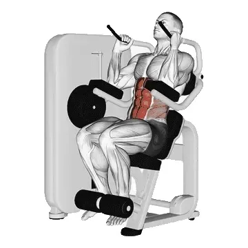 machine-seated-crunches