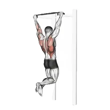 pull-ups