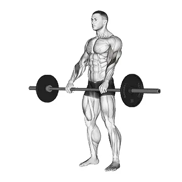 reverse-barbell-curl