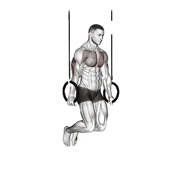 ring-dips