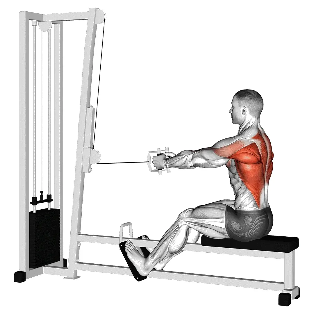 seated-cable-row