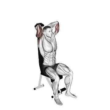 seated-dumbbell-tricep-extension