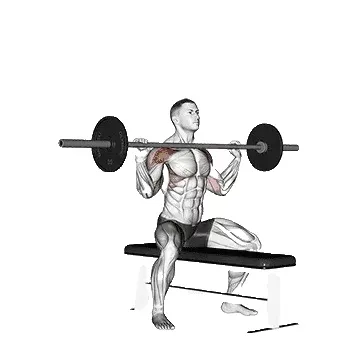 seated-shoulder-press