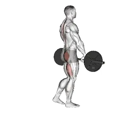 single-leg-deadlift