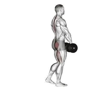 single-leg-dumbbell-deadlift