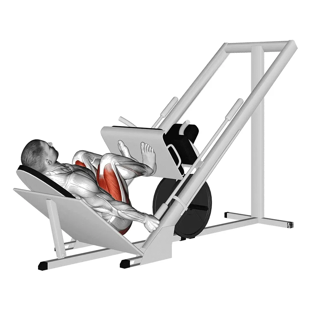 sled-leg-press