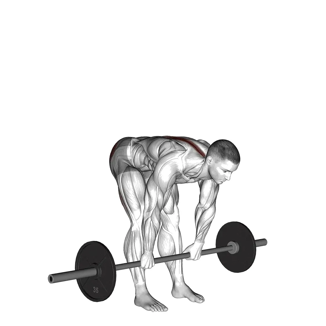 stiff-leg-deadlift