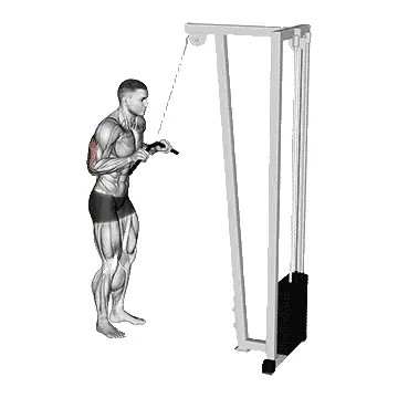 tricep-pushdown